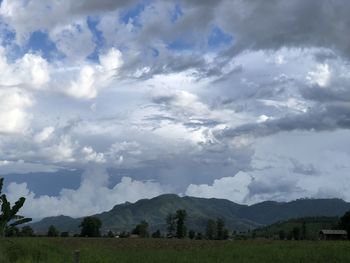 Scenic view of field against sky