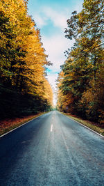 Empty road along trees