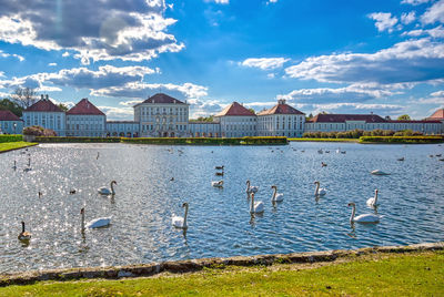 View of seagulls by lake against sky