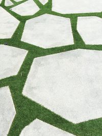 Full frame shot of stone pathway on grass