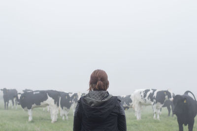 Rear view of woman standing in front of cows on field in foggy weather