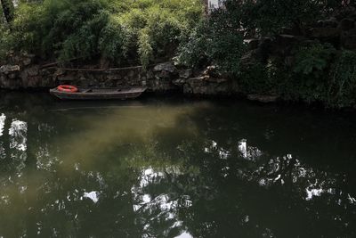 Reflection of trees in water