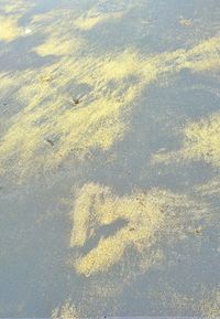 Aerial view of landscape
