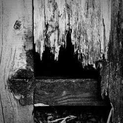 Close-up of wooden door