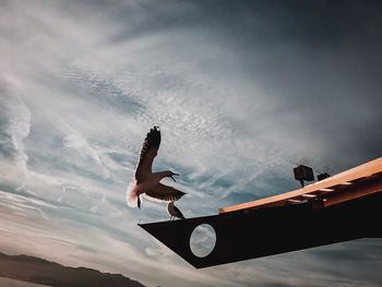 Low angle view of bird flying against sky