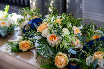 High angle view of roses on plant