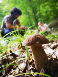 Close-up of mushroom growing on field