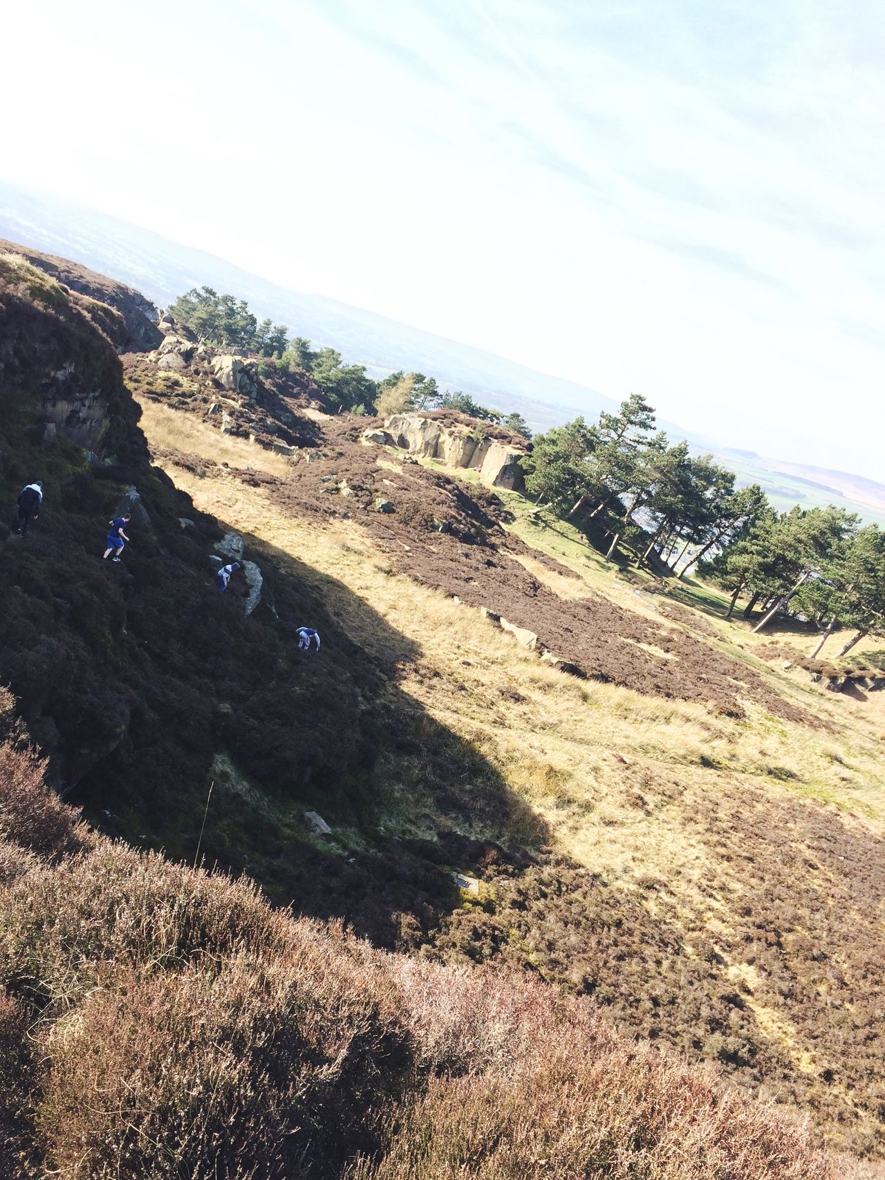 Ilkley cow and carf