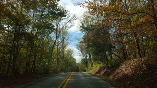 Road passing through trees