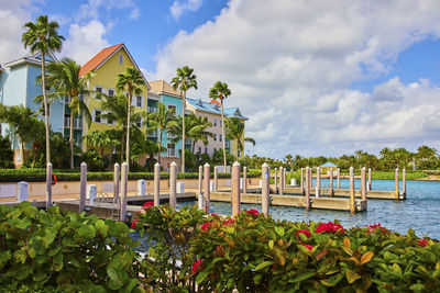 High angle view of palm trees against sky