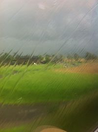 View of trees