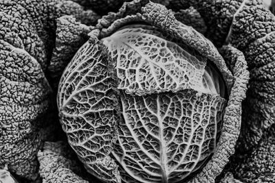 Full frame shot of bananas