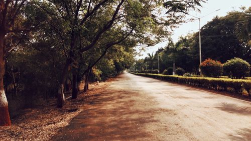 Road amidst trees in forest