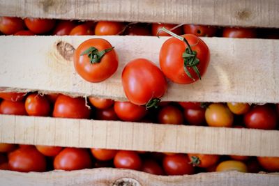 Close-up of tomatoes in market