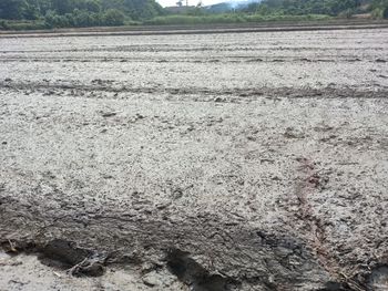 High angle view of field