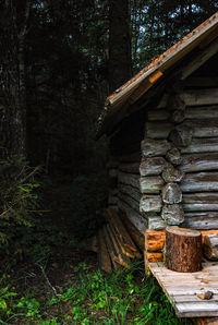 Stack of logs in forest