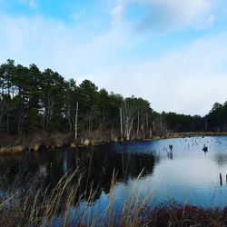 Reflection of trees in lake against sky