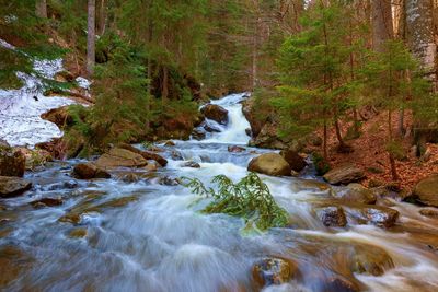 Stream flowing through rocks in forest