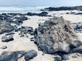 Scenic view of sea shore during winter