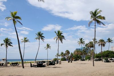 Palm trees on beach against sky