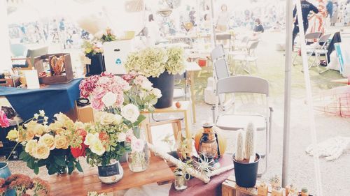 Potted flowers on potted plant