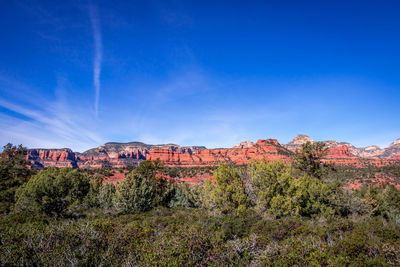 Scenic view of landscape against blue sky