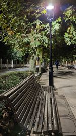 Illuminated street lights in park