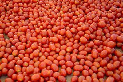 Full frame shot of tomatoes