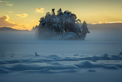 Scenic view of frozen trees against sky during sunset