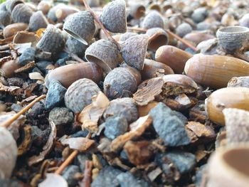 Full frame shot of pebbles