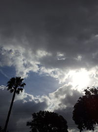 Low angle view of trees against cloudy sky