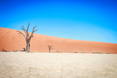 Scenic view of desert against clear blue sky