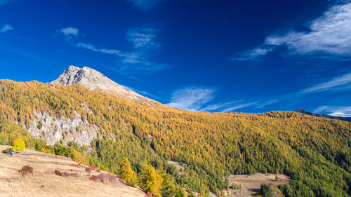 Panoramic view of autumn landscape against cloudy sky.