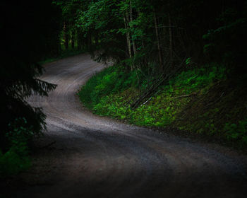 Road amidst trees in forest