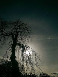 Silhouette bare trees against sky at sunset