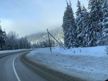 Snow covered road by trees against sky