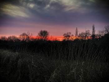 Scenic view of field against sky during sunset