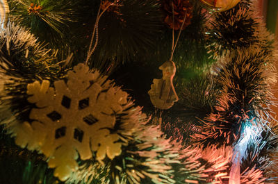 Close-up of christmas tree