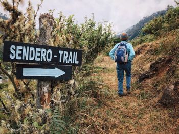 Rear view of person hiking on mountain