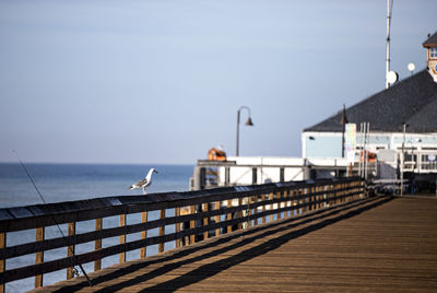 Seagulls on pier by sea against sky