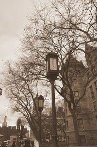 Street light and bare tree against sky