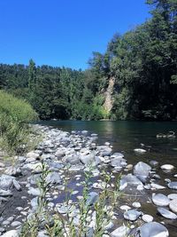 Scenic view of lake against clear blue sky