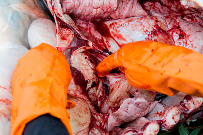 High angle view of orange slices