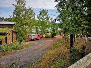 Road amidst trees in city against sky