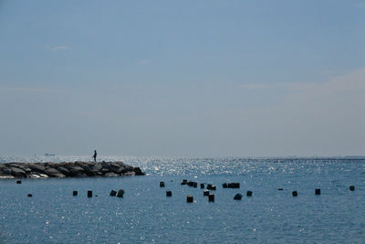 Birds swimming in sea against sky