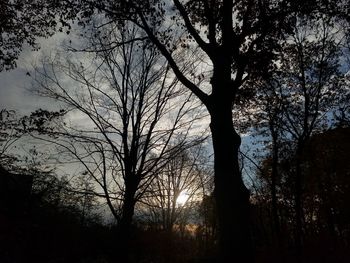 Low angle view of silhouette trees against sky at sunset