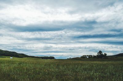 Scenic view of field against cloudy sky