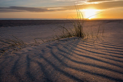 Scenic view of beach against sky during sunset