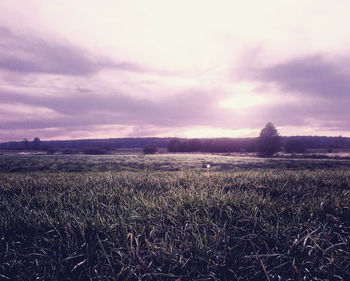 Scenic view of field against cloudy sky