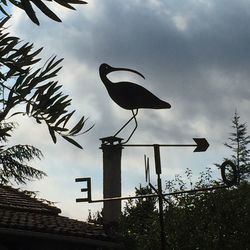 Low angle view of bird perching on wooden post